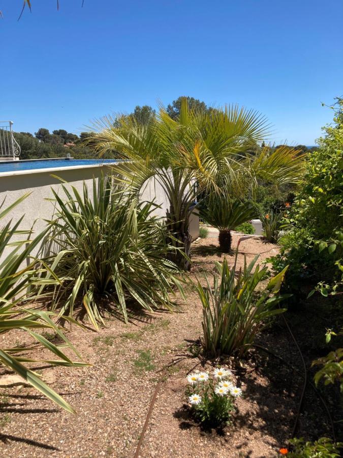 Villa Du Belvedere - La Chambre Mer Saint-Raphaël Zewnętrze zdjęcie